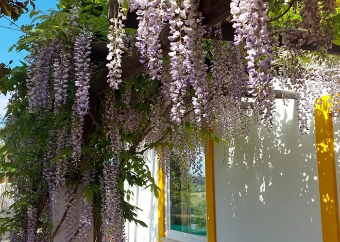 Casal Serrano Charme E Tranquilidade Reguengo Grande